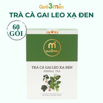 Trà túi lọc Cà Gai Leo Quà 3 Miền với cà gai leo xạ đen hỗ trợ thải độc gan 60 túi lọc