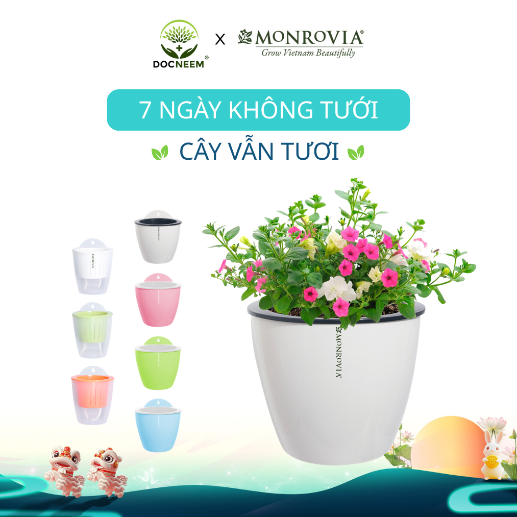 Chậu tự tưới treo tường Monrovia K0 (kèm móc treo), chất liệu PP cao cấp, 3 size