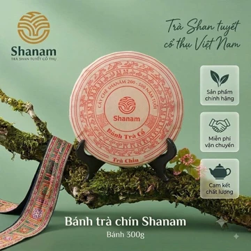 Bánh Trà Chín Shanam - Trà Shan Tuyết Cổ Thụ Việt Nam Trên 100 Năm Tuổi, Giúp Ngủ Ngon, Tiêu Hoá Tốt