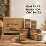 Thùng Tắc Sấy Dẻo Mơ Muối Nam Xanh, Giá Tốt Cho Đại Lý, Pantry Văn Phòng, Mua Nhiều Giá Tốt — ảnh 6