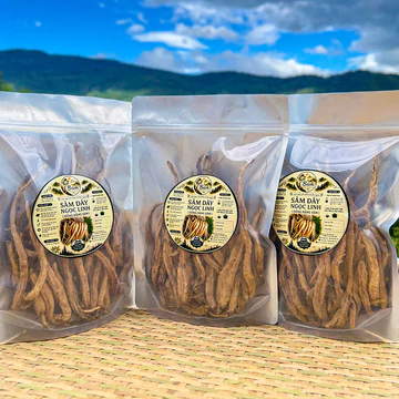 Sâm Dây Ngọc Linh Sấy Khô Kon Tum - Hồng Đẳng Sâm Nguyên Chất, Thảo Dược Tự Nhiên, Đặc Sản Ngọc Linh