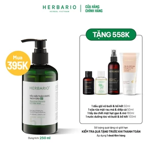 Dầu gội thảo dược sạch gàu 5T Herbario 250ml
