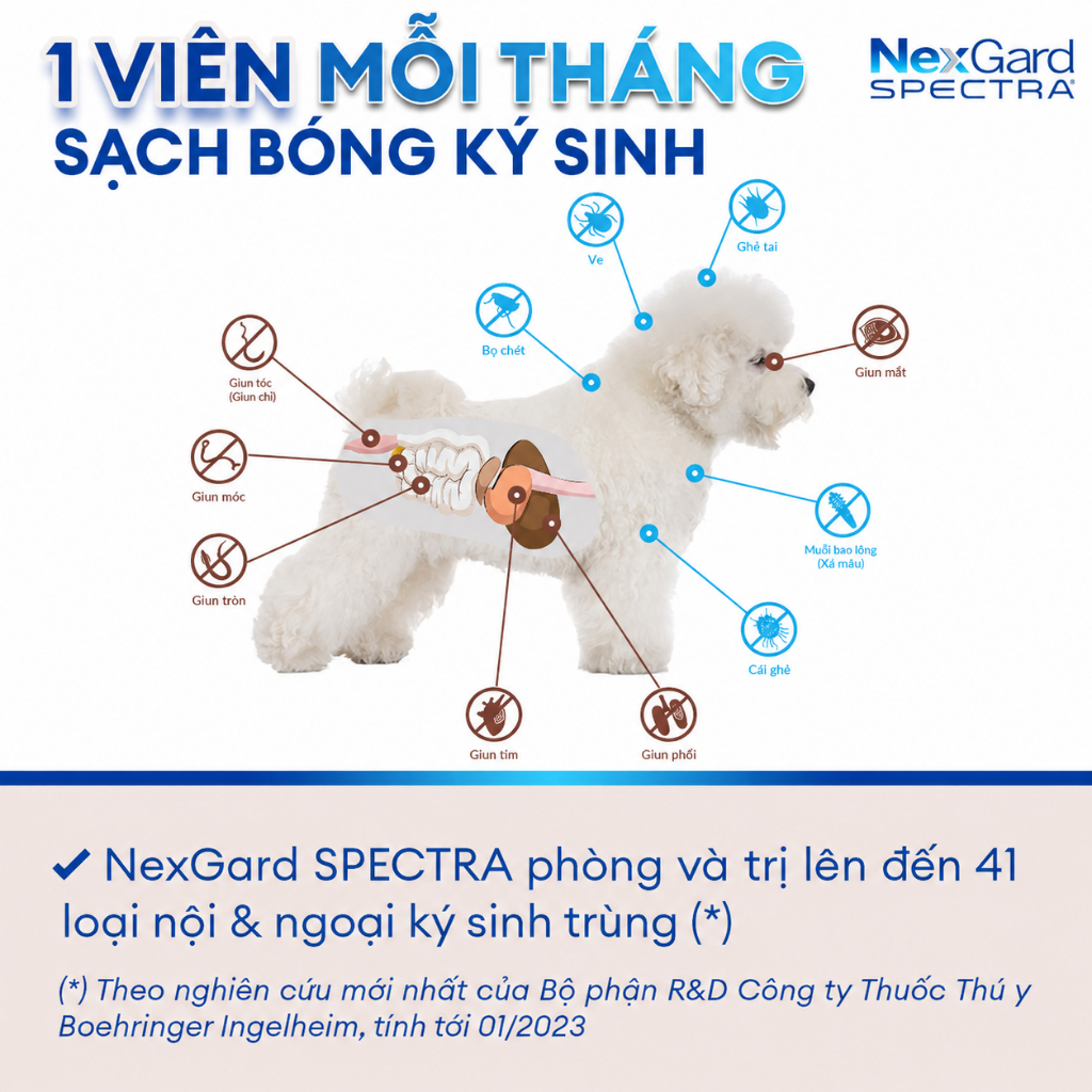 [FREE QUÀ TẶNG] NexGard SPECTRA - Viên nhai mềm phòng nội,ngoại ký sinh trùng dành cho Chó size S (3.5-7.5kg) | BigBuy360 - bigbuy360.vn