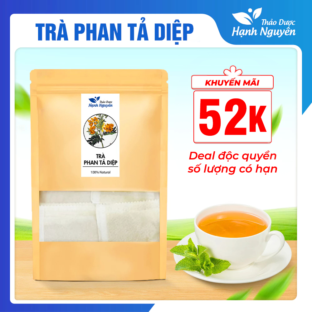 Trà phan tả diệp, bịch 50 túi lọc, hỗ trợ thanh lọc cơ thể – Thảo Dược Hạnh Nguyên
