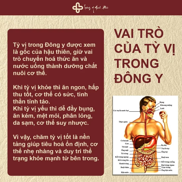 Herbal Tea – 4