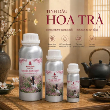 Tinh Dầu Lít Nguyên Chất Thiên Nhiên Nhập Khẩu Ấn Độ Tinh Dầu Dùng Cho Máy Xông Tinh Dầu Hương Xuân