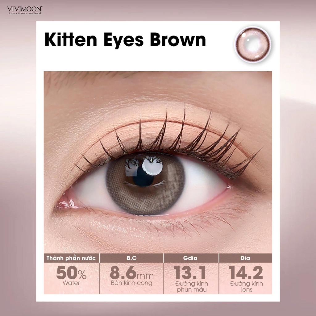 VIVIMOON lens cận 1 ngày màu nâu sáng Kitten Eyes Brown (Giá 1 chiếc - 1 bên mắt) | BigBuy360 - bigbuy360.vn