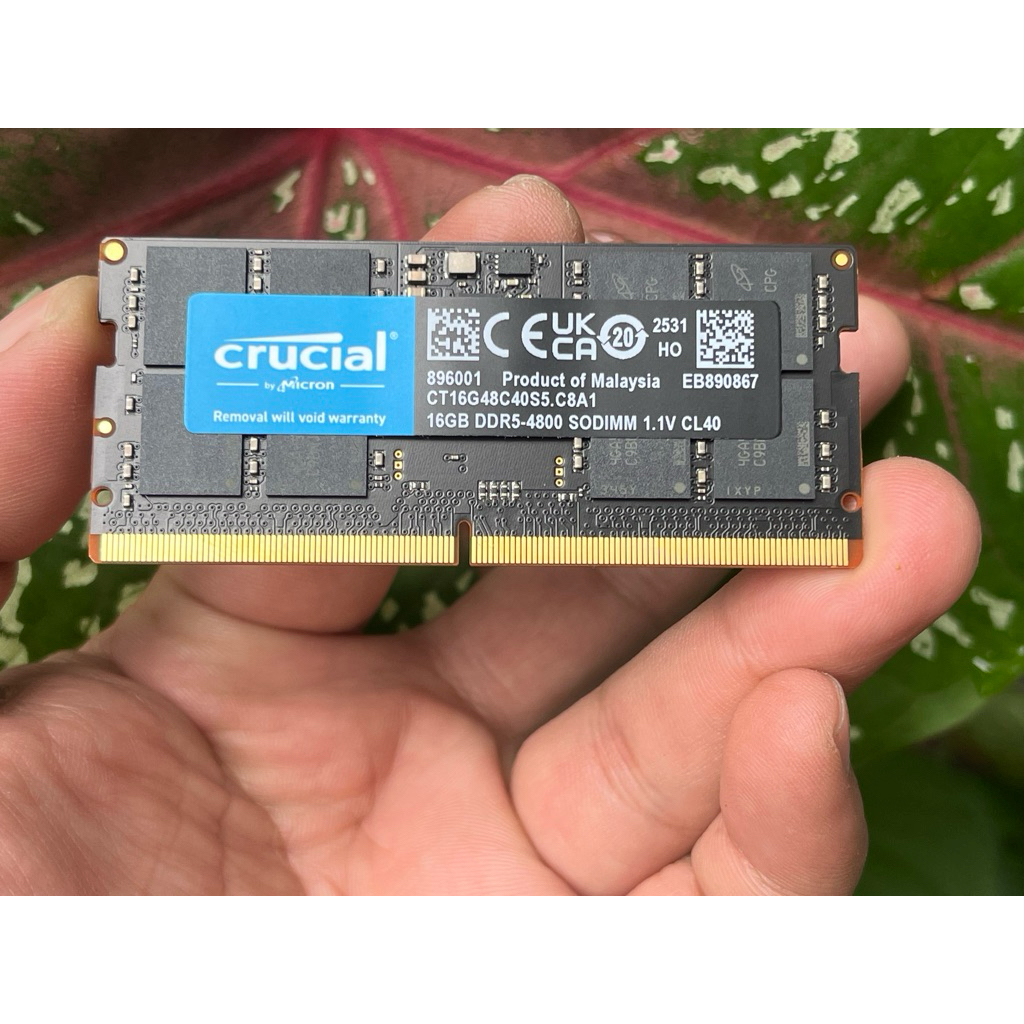Ram ddr5 cũ - Giá Tốt, Sale Tháng 08, Freeship 0Đ | Shopee Việt Nam
