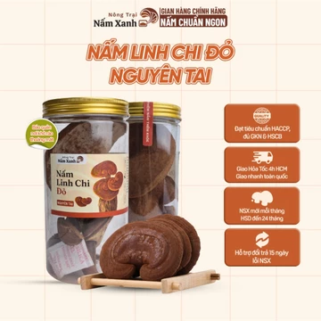 Nấm Linh Chi Đỏ Nguyên Tai 50gr 100gr Tăng Cường Đề Kháng Toàn Diện - Nấm Xanh