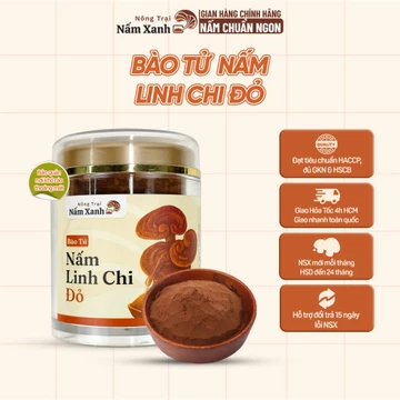 Bào Tử Nấm Linh Chi Đỏ 50gr 100gr Tăng Cường Miễn Dịch - Nấm Xanh