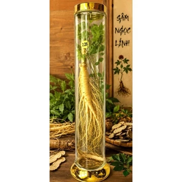 Bình Ngâm Sâm Thủy Tinh 2.28L Cao 50cm – Bình Ngâm Sâm Ngọc Linh, Nhân Sâm, Đinh Lăng Cao Cấp