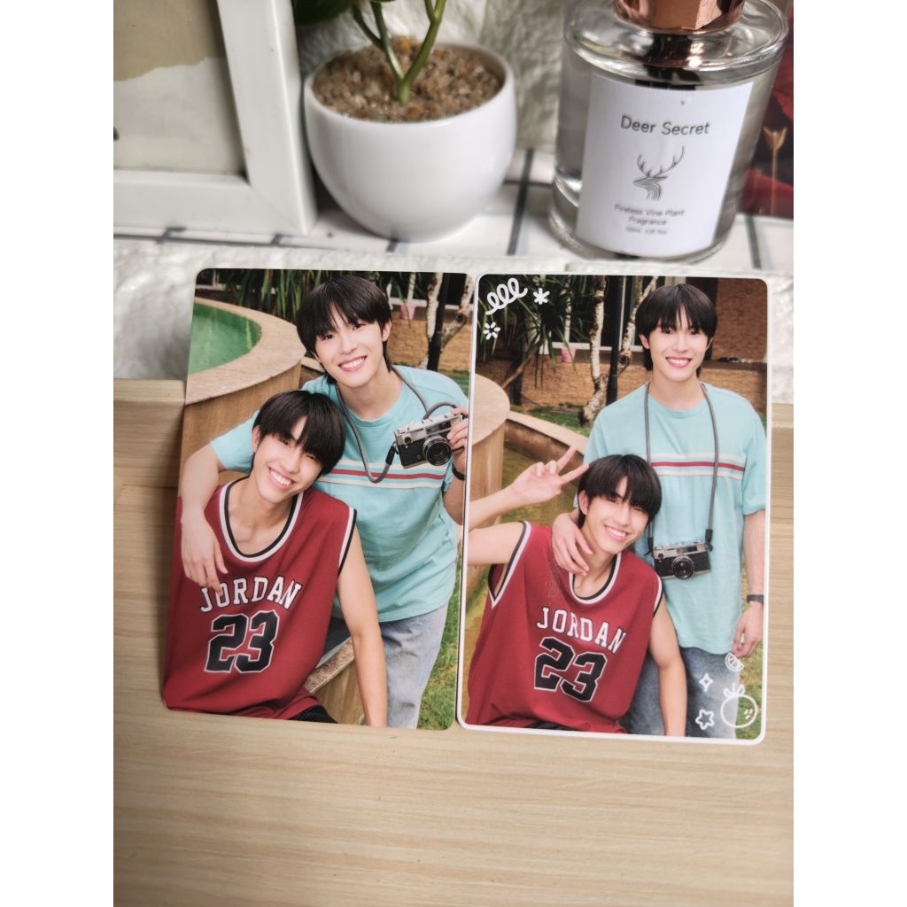 未開封 WHEN ORANGES FALL カード AlmondProgress 🍒 Postcard, card When oranges fall 2026 AlmondProgress, KenPaul