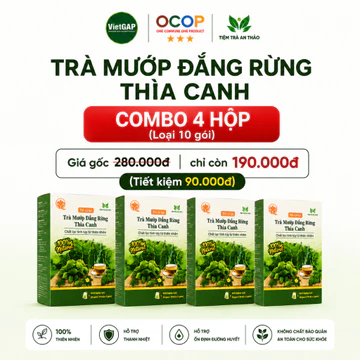 {DEAL HỜI} 4 Hộp Trà Khổ Qua Rừng Thìa Canh, Trà Thảo MộC Mướp Đắng Rừng, Trà Túi Lọc Hộp 10 Gói