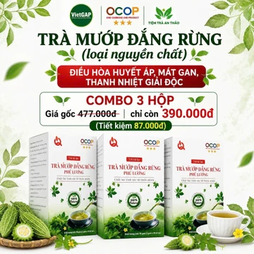 Combo 3 Hộp Trà Khổ Qua Rừng Nguyên Chất Chuẩn VietGAP, Trà Mướp Đắng Rừng, Trà Thảo Mộc Hộp 30 Gói