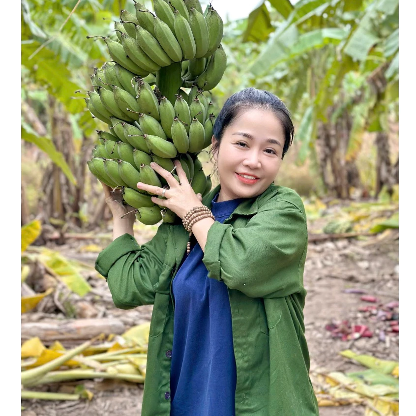 Chuối sấy mộc nguyên vị, không đường, không chất bảo quản ,Đồ Ăn Vặt Ngon Healthy