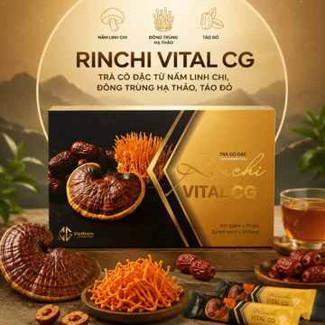 [Gói dùng thử] Trà thảo dược Nấm Linh chi, Đông trùng hạ thảo, Táo Đỏ Rinchi Vital CG tốt cho huyết áp, tiểu đường