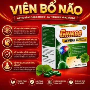 Viên uống bổ não Ginkgo Newstar hộp 100 viên chứa Ginkgo biloba giúp tăng cường tuần hoàn máu não Hộp 100 viên