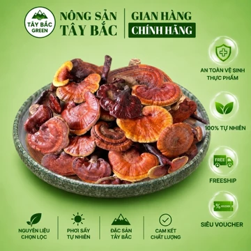 1KG Nấm Lim Xanh Rừng Tây Bắc | Nấm Lim Xanh Tự Nhiên | Gái Bản Tây Bắc