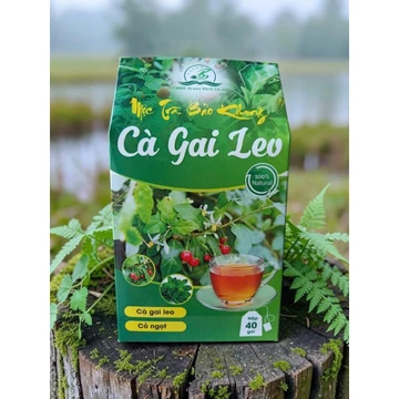 Hộp 40 gói trà túi lọc cà gai leo Bảo Khang, trà cà gai leo, trà thảo mộc tự nhiên, tốt sức khỏe