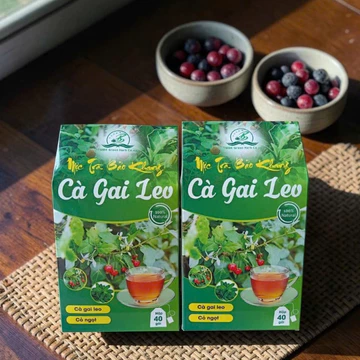 Combo 80 gói trà túi lọc cà gai leo, trà cà gai leo Bảo Khang, trà thảo mộc tự nhiên, cây cà gai leo