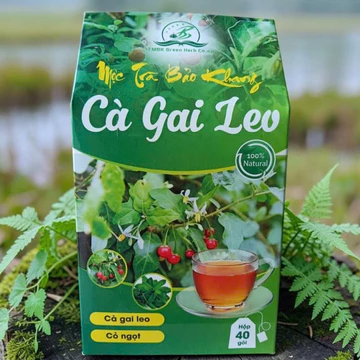 Trà cà gai leo túi lọc, hộp 40 gói trà túi lọc cà gai leo Bảo Khang, giúp hạ men gan, men gan cao