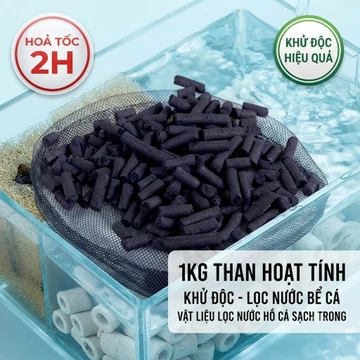 Than Hoạt Tính Lọc Nước Bể Cá 1KG - Khử Độc, Khử Mùi, Trong Nước Thủy Sinh Hiệu Quả