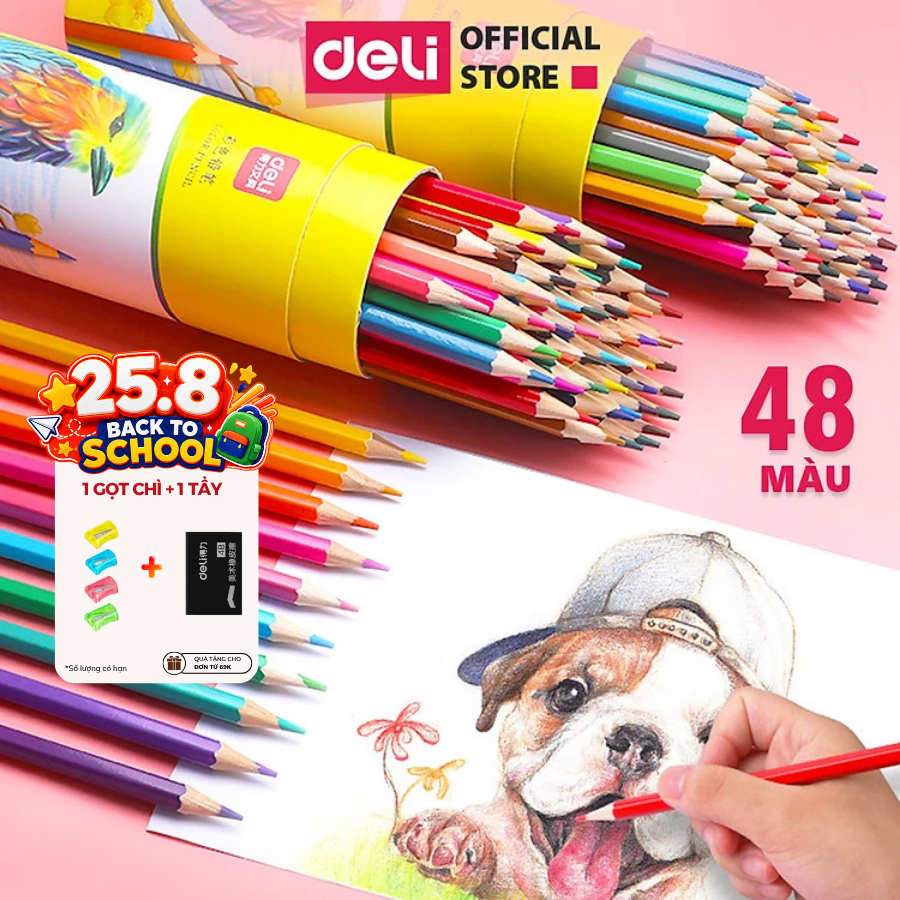 Bút Chì Màu Gốc Dầu Dạng Cốc/Lon Deli - 12/24/36/48 Màu Sắc Tươi Sáng Không Dễ Gãy Màu Chì Học Sinh Tô Vẽ