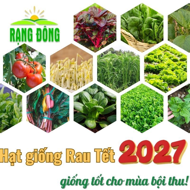 Hạt giống Trồng Chậu - Rau Củ Quả BÁN CHẠY 2026 Năng Suất Cao, Nảy Mầm Tốt, Chịu Nhiệt, Dễ Trồng - Hạt giống Rạng Đông