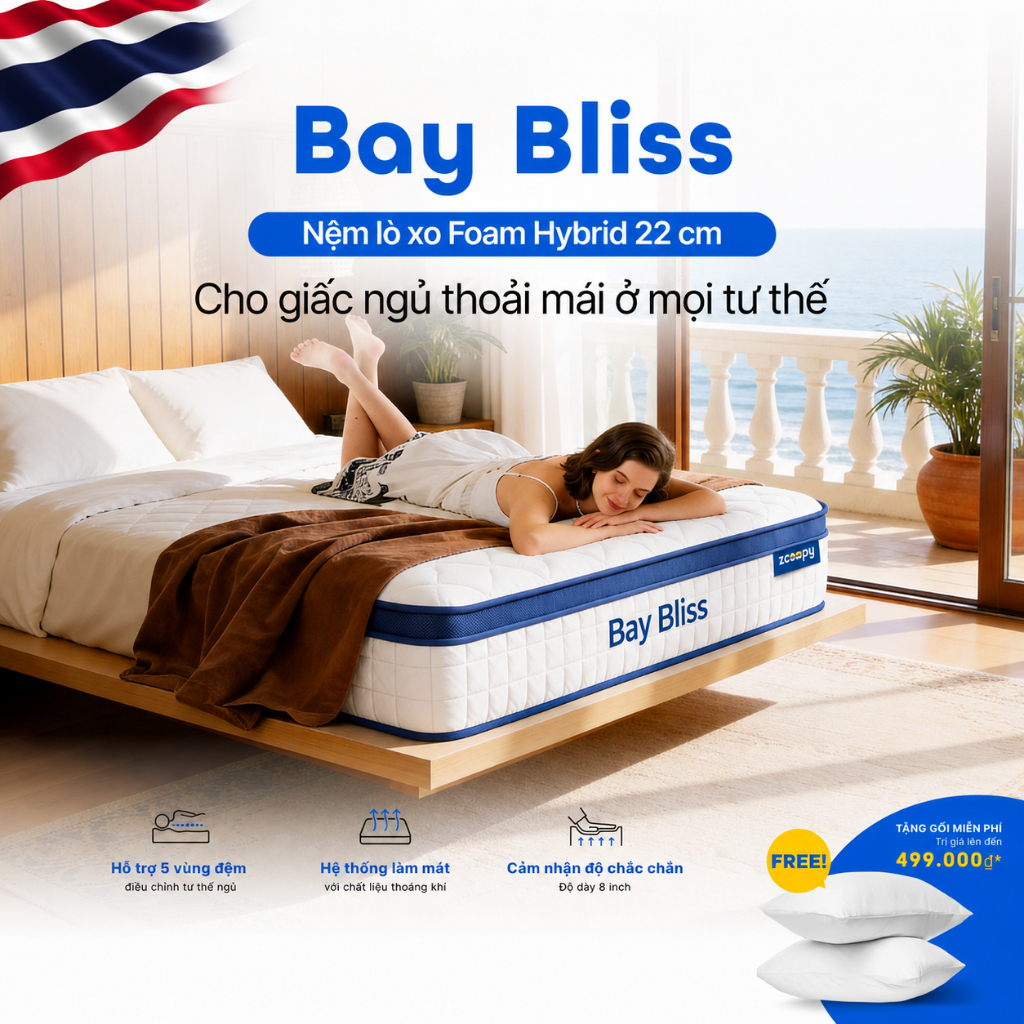 Nệm Lò Xo Túi Zcoopy Bay Bliss 16 cm & 22cm Thái Lan Hybrid Foam Nâng Đỡ Cột Sống Chuẩn Khách Sạn [Tặng Gối Cao Cấp]