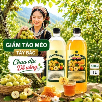 Giấm Táo Mèo Mật Ong, Giấm Táo Mèo Lên Men Tự Nhiên Tốt Cho Sức Khỏe