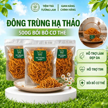 500g Đông Trùng Hạ Thảo Sấy Khô Sợi To Ngon Hàng Cao Cấp Bồi Bổ Cơ Thể, Đông Trùng Hạ Thảo Sấy Nhiệt