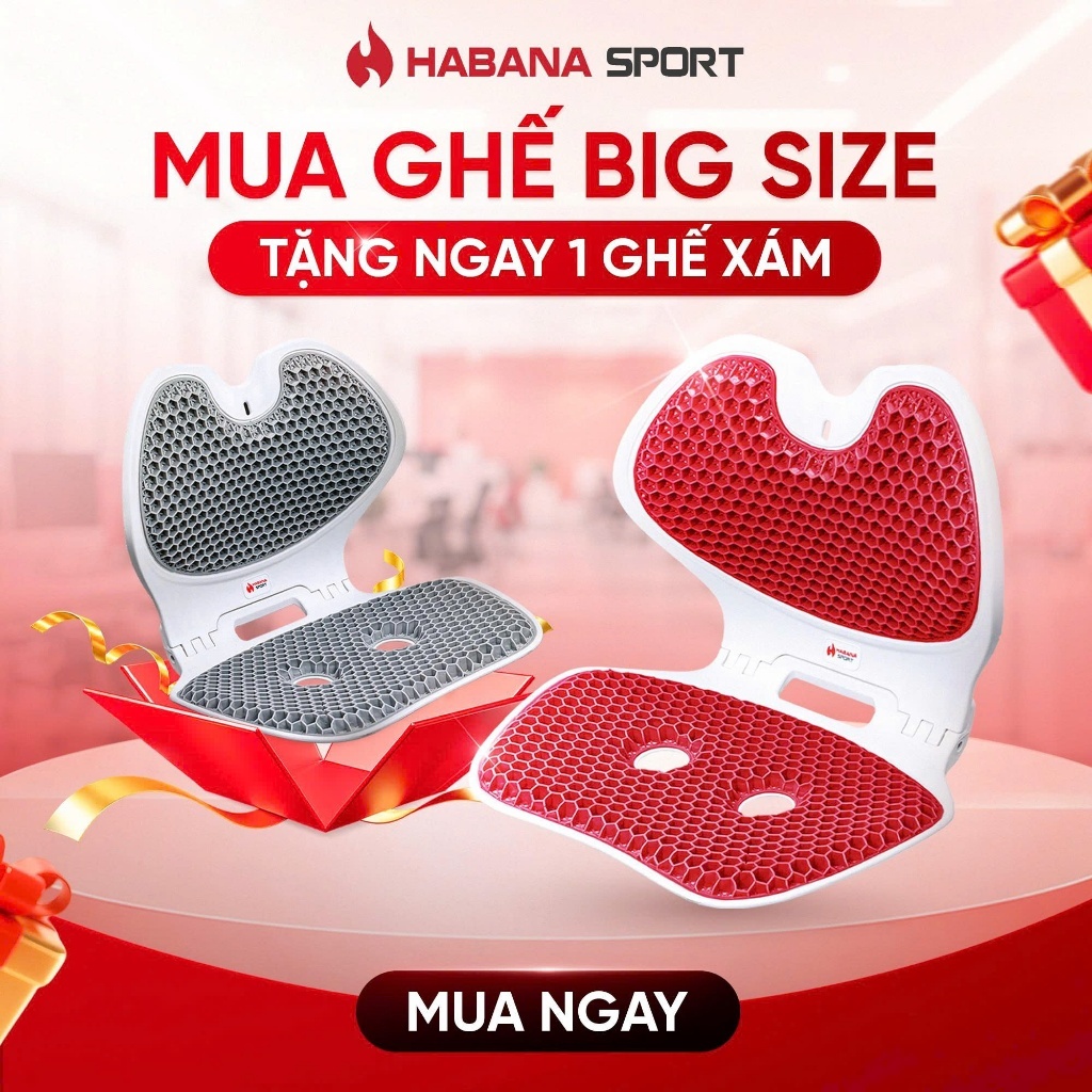 [HABANA SPORT] Ghế Chỉnh Dáng EGO Công Thái Học Gấp Gọn, Hỗ Trợ Xương Sống, Giảm Đau Mỏi.
