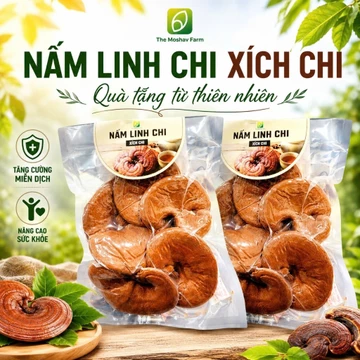 Nấm Linh Chi Xích Chi Túi 100gr Dạng Nguyên Tai, Thái Lát Giúp Tăng Cường Miễn Dịch The Moshav Farm