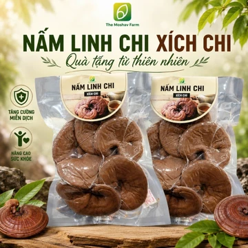Nấm Linh Chi Xích Chi Gói 100g Cao Cấp Nguyên Tai, Cắt Lát Moshav Farm - DASATA