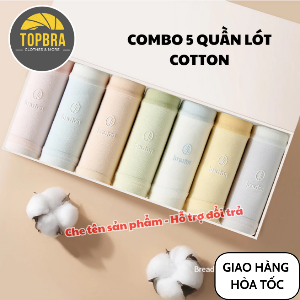 Combo 5 Quần Lót Nữ Cotton Mềm Mịn Co Giãn, Cạp Êm Không Hằn Da, Thấm Hút Tốt Natural TOPBRA