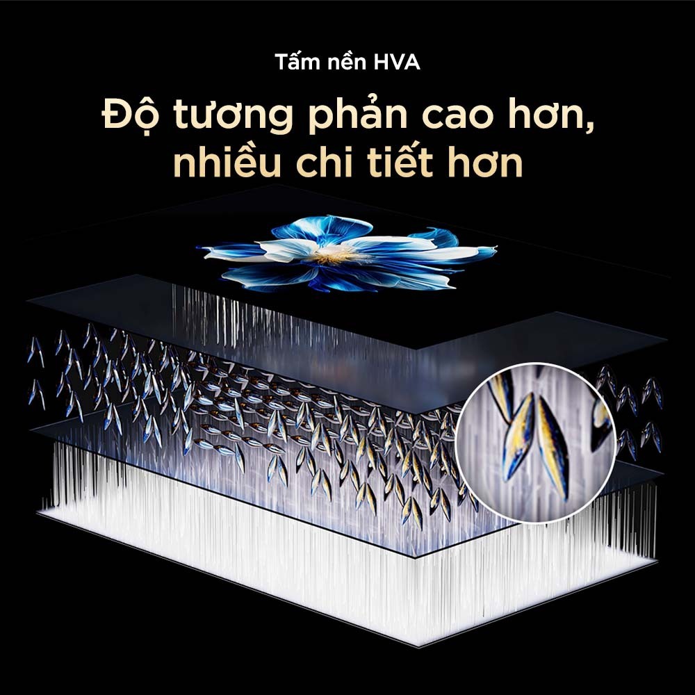 【Livestream】TCL 55 inch QD-MiniLED mới 55T8D, tần số quét siêu cao 144Hz, HDR10+, Chứng nhận Dolby Atmos, Lắp 0đ HCM HN | BigBuy360 - bigbuy360.vn