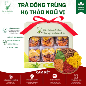 Set 30 gói Trà Đông Trùng Ngũ Vị [Tiệm Trà Hạnh Phúc] thơm ngon bổ dưỡng, giúp an thần, ngủ ngon