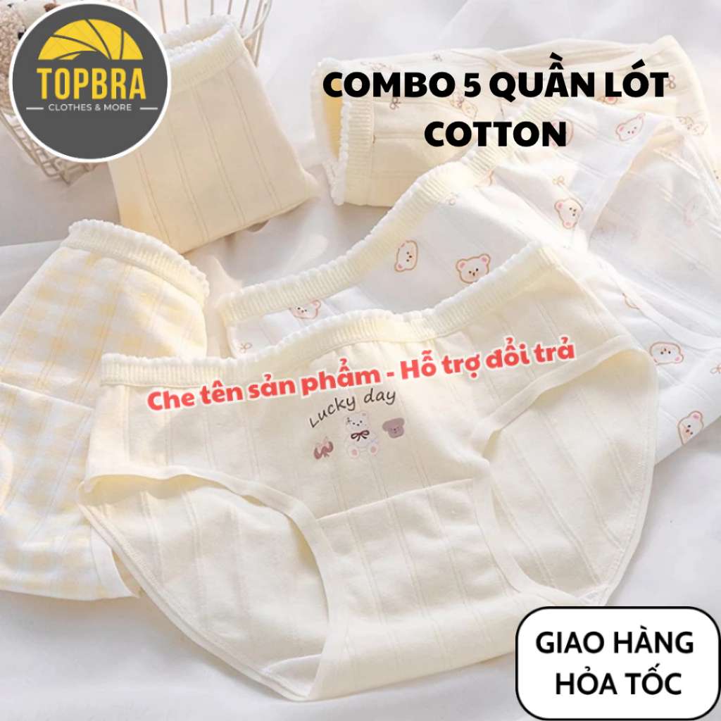 SET 5 Quần Lót Cotton Kháng Khuẩn Thông Hơi Thoáng Khí Thấm Hút Mồ Hôi Gấu Vàng TOPBRA