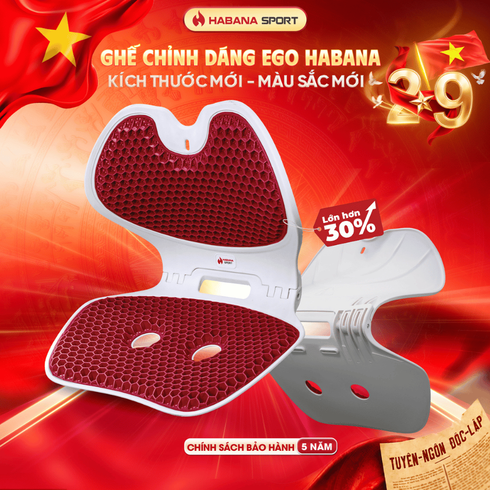 [HABANA SPORT CHÍNH HÃNG] Ghế Chỉnh Dáng EGO Công Thái Học Gấp Gọn, Hỗ Trợ Cột Sống, Giảm Đau Mỏi.