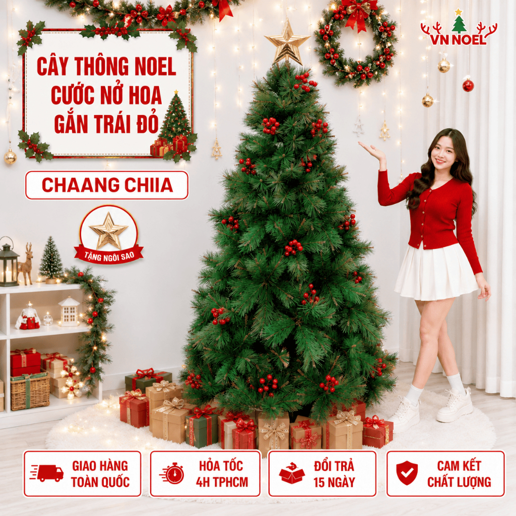 Cây Thông Noel 1M5 1M8 2M1 2M4 3M Cước Đầu Vàng Gắn Trái Đỏ Tự Động Chân Sắt Trang Trí Giáng Sinh