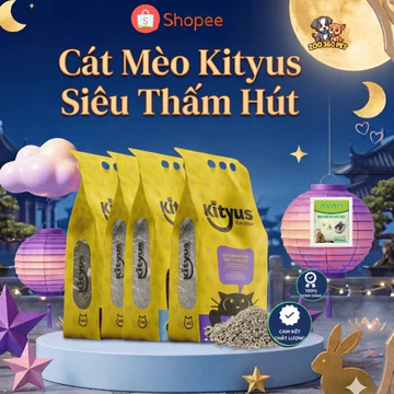 Cát vệ sinh cho mèo Kityus 10kg cát vệ sinh cho mèo it bụi vón cục nhanh khử mùi hiệu quả hút ẩm tốt
