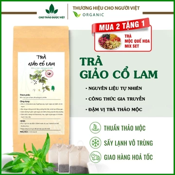 Trà giảo cổ lam túi lọc, đậm vị thơm ngon, dễ uống - Chợ Thảo Dược Việt