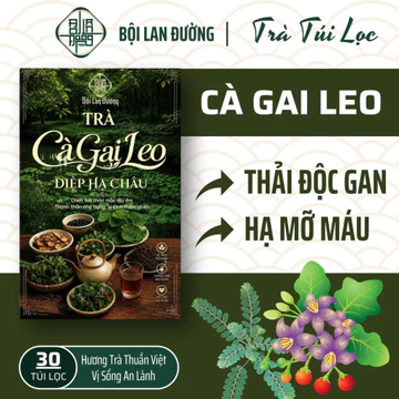 [Có Giấy VSATTP] Trà Thải Độc Gan Cà Gai Leo - Bội Lan Đường - Mix Diệp Hạ Châu, Giảo Cổ Lam, An Xoa, Cỏ Ngọt