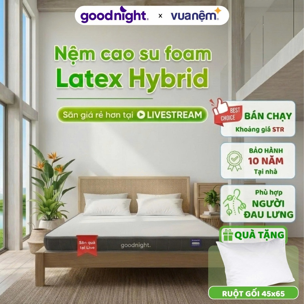 [SĂN QUÀ TẠI LIVE] Nệm Cao Su Foam Vua Nệm Goodnight Latex Hybrid 10cm, Đệm Người Đau Lưng(Không phải cao su non)