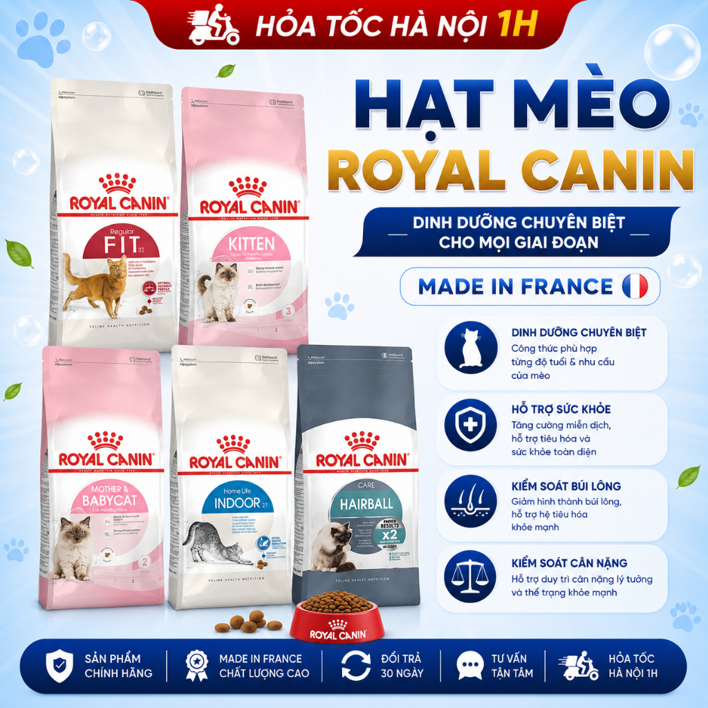 Thức Ăn Khô, Hạt cho Mèo Royal Canin Kitten 36, Fit 32, Indoor 27, Mother & BabyCat 34