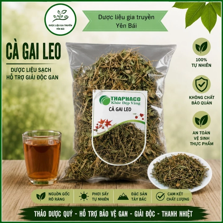 1KG Cà Gai Leo Khô Tây Bắc | Cà Gai Leo Sấy Khô Tự Nhiên | Dược Liệu Cà Gai Leo | Gái Bản Tây Bắc