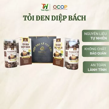 Tỏi Đen Cô Đơn Yên Châu, Đặc Sản Sơn La, Tỏi Đen 1 Nhánh Thơm Dẻo, Vị Ngọt Tự Nhiên - Tuấn Huyền Vlog