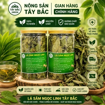 500G LÁ SÂM NGỌC LINH KHÔ – LÁ SÂM NGỌC LINH SẤY KHÔ, NGUYÊN LIỆU THẢO MỘC | SHOP TRAI BẢN