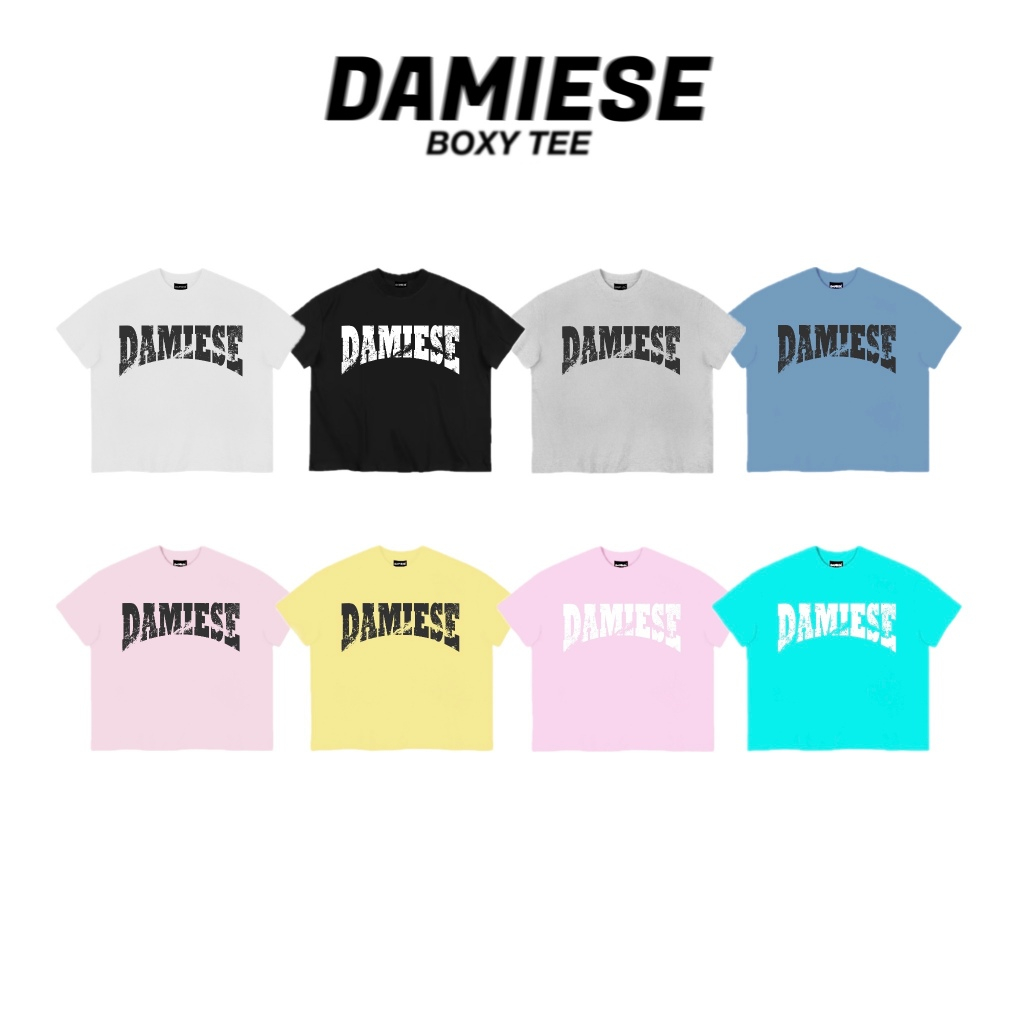 [DEAL MỞ BÁN] "DAMIESE VINTAG" - ÁO THUN BOXY DAMIESE COTTON 260GSM