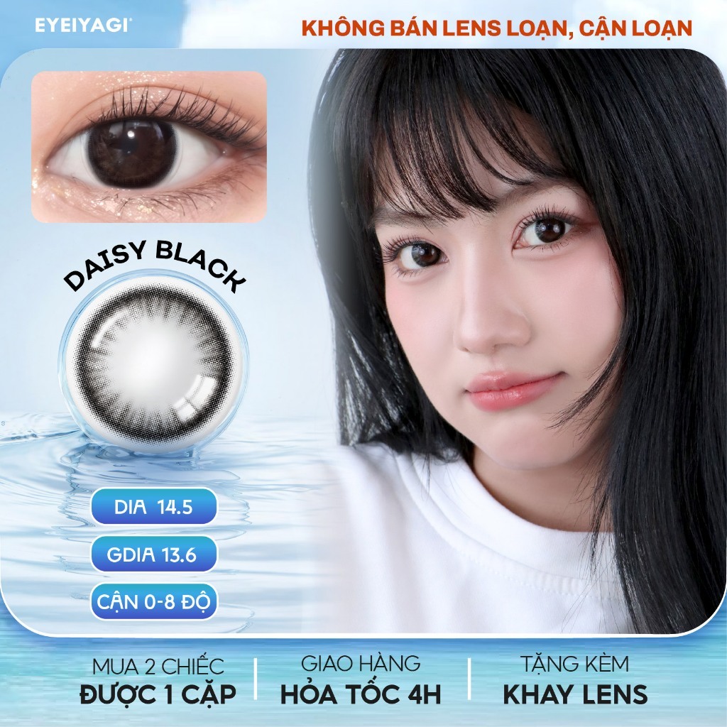 Kính áp tròng EYEIYAGI lens đen Daisy Black giãn tròng to 14.5mm, lens cận 3 tháng có lệch độ (0-8)